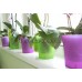 Горшок для орхидеи "Орхидея" Фиолетовый